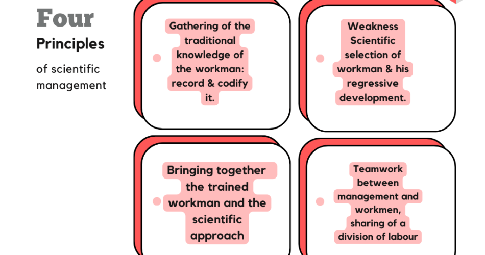 case study for scientific management