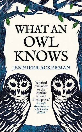What an Owl Knows pdf