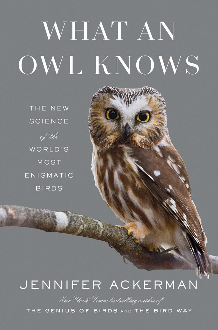 What an Owl Knows pdf