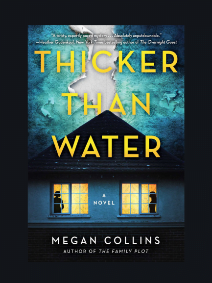 Thicker Than Water A Novel PDF, EPUB, VK